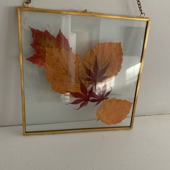 Pressed Fall Leaves Art - Picture 2 of 6